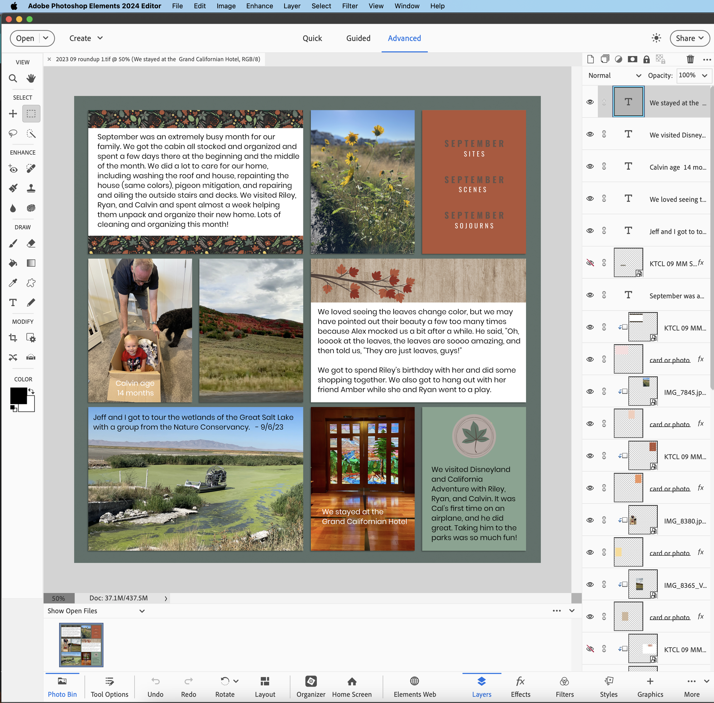 Adobe Photoshop Elements 2024 — Katie the Creative Lady | Create Adobe Photoshop Elements 2024 — Katie the Creative Lady | Create